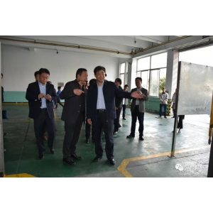 常州市市委書(shū)記汪泉一行調(diào)研常蒸集團(tuán)